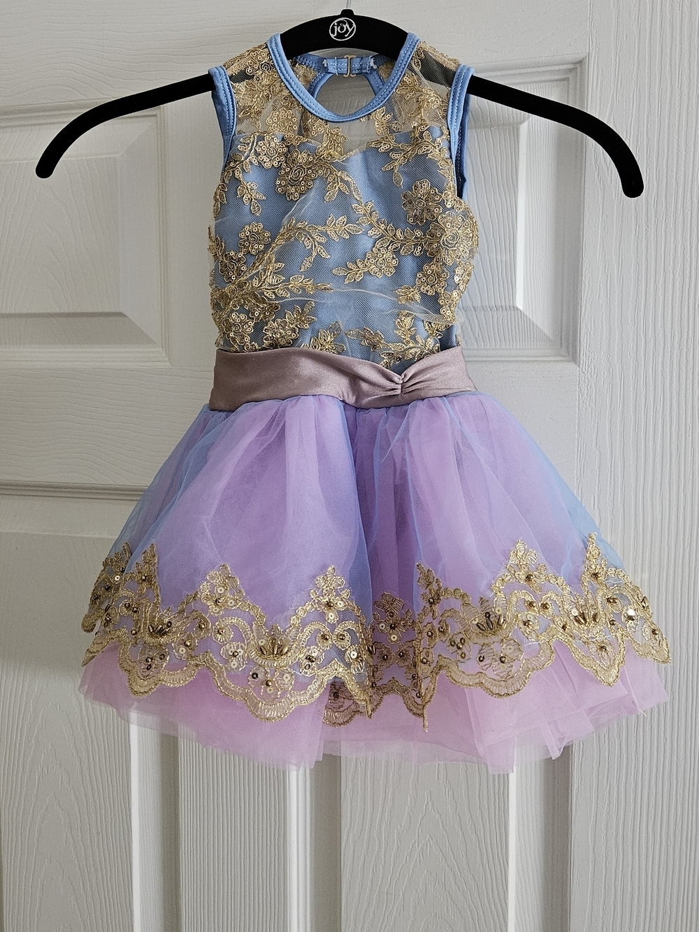 Blue & Pink Gold-Trim Tulle Dance Costume "Waltz Of The Flowers."  Size XSC